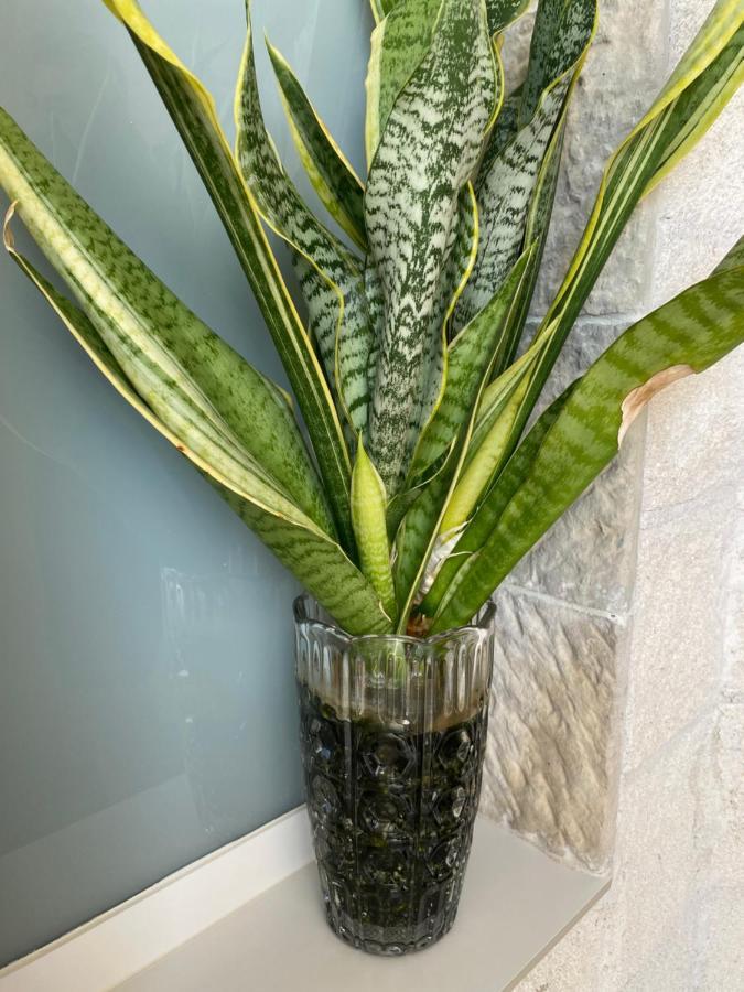 普拉亚布兰卡La Terraza公寓 外观 照片